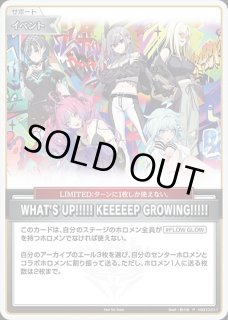 スーパーPRパックvol.5 - ホロカ通販 メルカード秋葉原