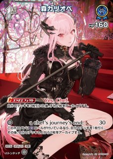 ホロカ　UR　１７枚セット ホロカ UR 17枚セット 【公式通販】