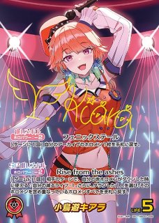 ホロカ ブルーミングレディアンス まとめ売り - メルカリ
